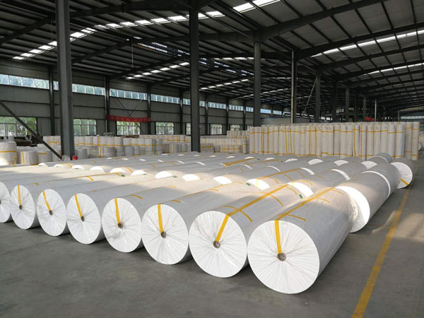 宁德狭缝式涤纶纺粘无纺布